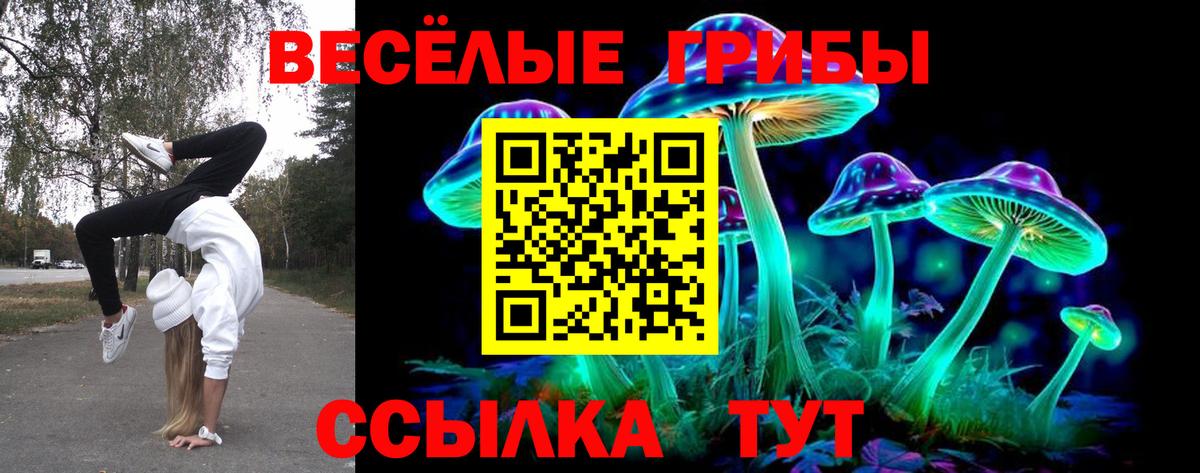 Галлюциногенные грибы GOLDEN TEACHER Сертолово